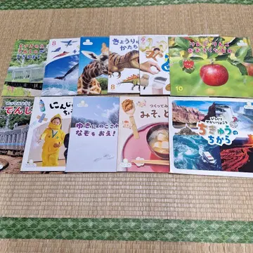 산차일드 빅 사이언스 11권 세트