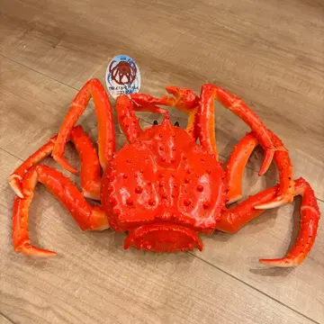 타라바가니 액션 피규어 BIG