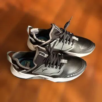 Puma 골프화 블랙/그레이