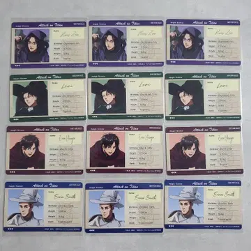 진격의 거인 마법사 애니메이트 구매 혜택 카드 12장 전종