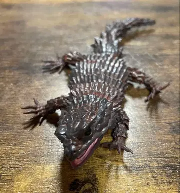 생물대도감 어드밴스 아르마딜로 도마뱀 블랙