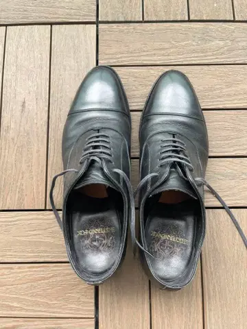 셰틀랜드 폭스 002F 코벤트리 7