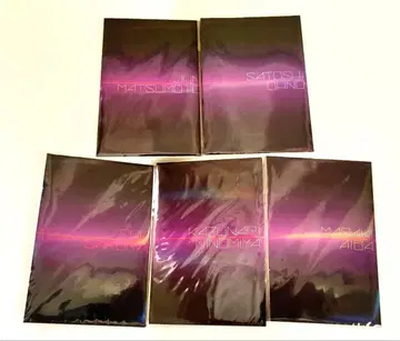 아라시 THE DIGITALIAN 팜플렛 미니어처 스티커 5인분