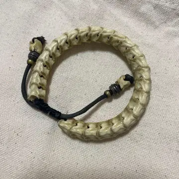 ifsixwasnine 스네이크본 뱀뼈 HYDE 본 블레스