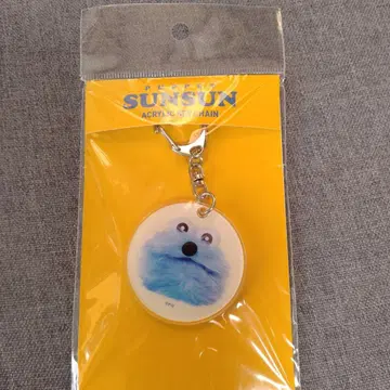 Sunsun 아크릴 키링 스티커 세트