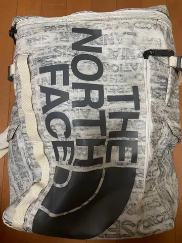 THE NORTH FACE 백팩 화이트/그레이