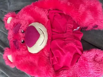 디즈니 토이스토리 랏소 팬캡 2개