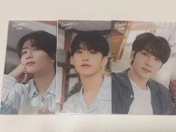 세부치 카페 엽서 2023 SEVENTEEN cafe 모음