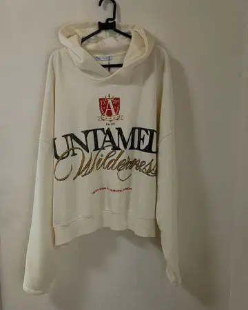 ZARA 남성용 후드티 M