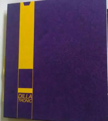 J Dilla Dillatronic *Madlib stones throw