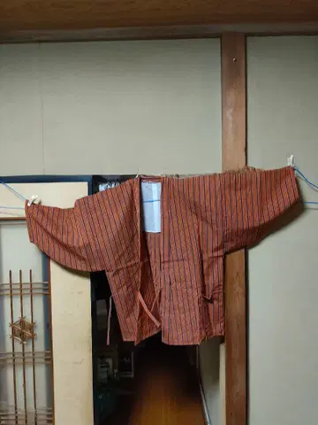 오렌지와 블랙 스트라이프 도테라