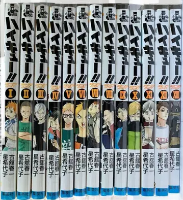 하이큐!! 소설판!! 1~13