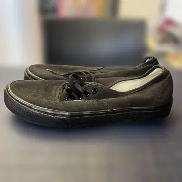 vans 오센틱 블랙 used