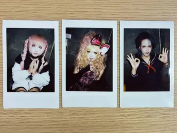 나방과 나비 폴라로이드 3장 세트