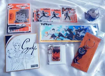 하이큐 카라스노 고교 아크릴 스탠드, 아크릴 블록, 모찌 마스 묶음 판매