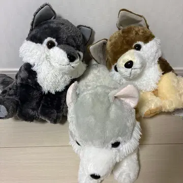 AMUSE 늑대 봉제 인형 3색 세트