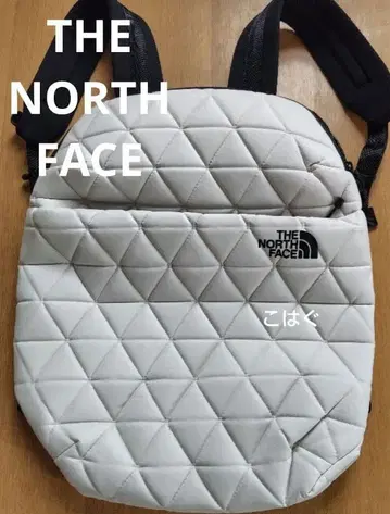 THE NORTH FACE 지오 페이스 슬림 팩 14L