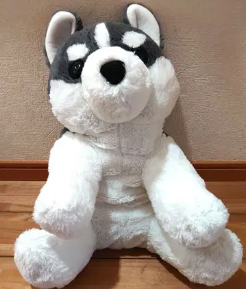 축 늘어진 시베리안 허스키 아기