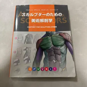 스컬프터를 위한 미술 해부학