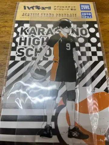 하이큐!! 아크릴 스탠드 포트레이트 카게야마 토비오