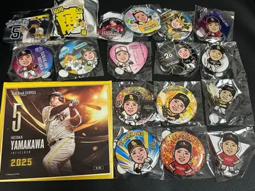 야마카와 호타카 낱개 판매 5-1 와카타카 가챠 캔뱃지