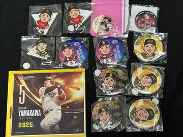 야마카와 호타카 낱개 판매 5-2 와카타카 가챠 캔뱃지