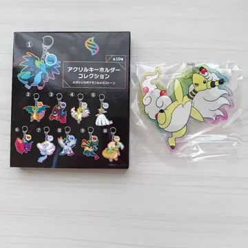 메가진화 아크릴 키링 컬렉션