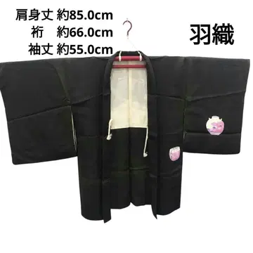 겉옷 부채와 꽃병 사절호 다크 그린