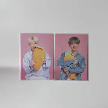 호시 우지 당근 트레이딩 카드