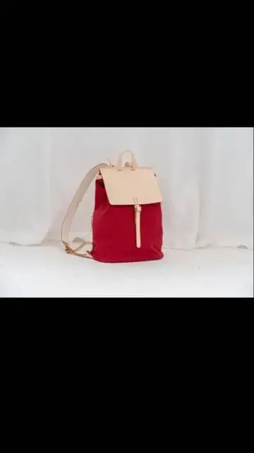 LEVAS 님의 빨간색 캔버스 가죽 조합 백팩