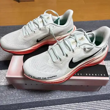 줌 페가수스 집게형 모델