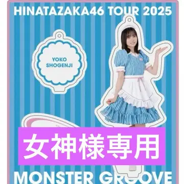 히나타자카46 쇼겐지 요코 2025 할로윈 의상 아크릴 스탠드 익명 배송