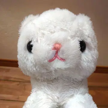 AMUSE 느긋한 고양이 봉제 인형