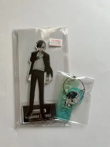 윈드브레이커 사쿠라 하루카