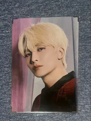 SEVENTEEN 정한 프리미엄 사진 세트