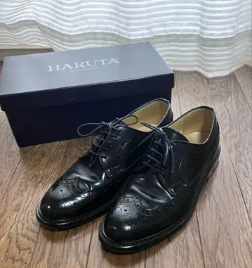 하루타 윙 칩 design710 size25cm 와이즈 EEE