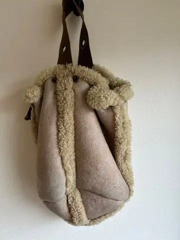 Inpaichthys kerri 핸드백