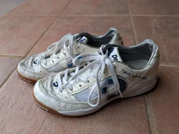 Desporte 22.5cm 풋살화