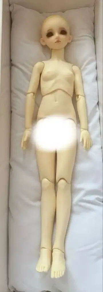 보크스 SD 여아 리제로테