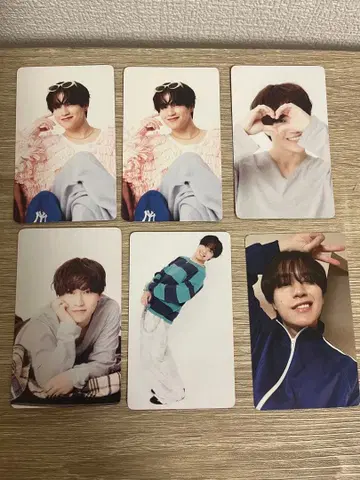 야마네 코우카이 포토 카드 6장 세트