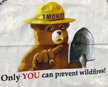 레어 스모키 베어 곰 마스코트 손수건 아메리칸 굿즈