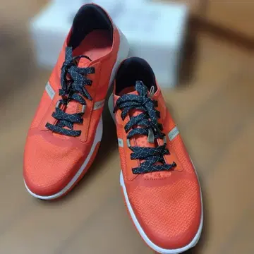 콜한 제로그라운드