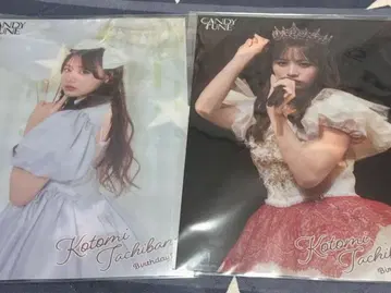 타치바나 코토미 탄생 기념 2025 스키 복권