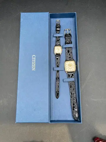 CITIZEN LAND MASTER 페어 워치