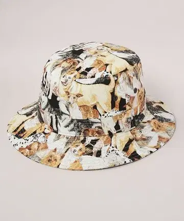 카시라 CA4LA 버킷햇 버킷햇 애니멀 무늬 강아지 패턴 도그 캡 라이너