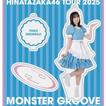 히나타자카46 쇼겐지 요코 2025 할로윈 의상 아크릴 스탠드 익명 배송