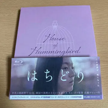 벌새 한국 영화 김보라 감독 박지후 주연