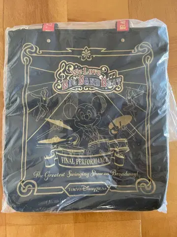 디즈니씨 빅뱅 비트