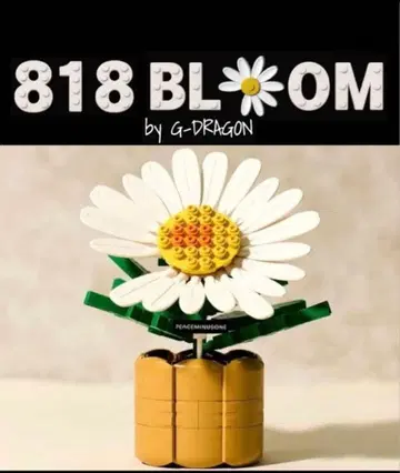 818 BLOOM by G-DRAGON 한정판