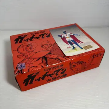 정크제품 과학 닌자대 갓챠맨 오오와시 켄 1/12 레진제 피규어